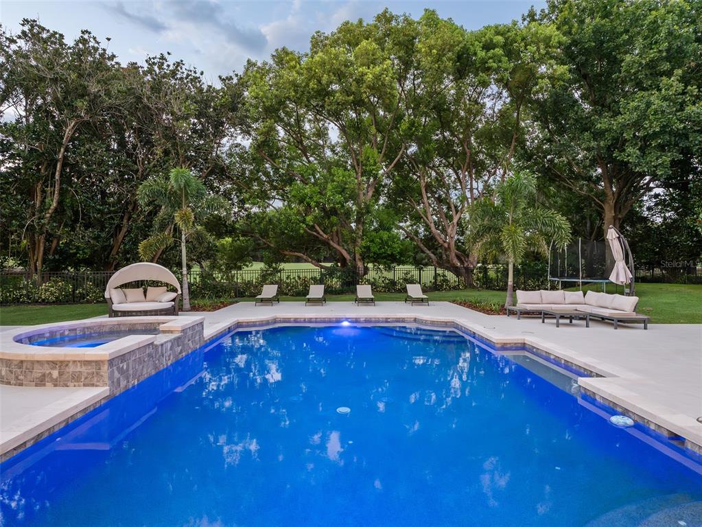 A rectangular swimming pool with an attached spa sits on a patio near large trees — 9921 LAKE LOUISE DRIVE, WINDERMERE, FL
