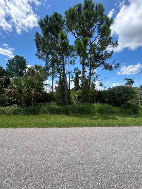 A paved road sits in front of a wooded lot with tall pine trees — ALESIO AVENUE, NORTH PORT, FL