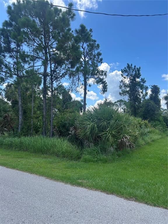 A vacant, grassy lot features tall pine trees and dense palmetto bushes under a blue sky — ALESIO AVENUE, NORTH PORT, FL
