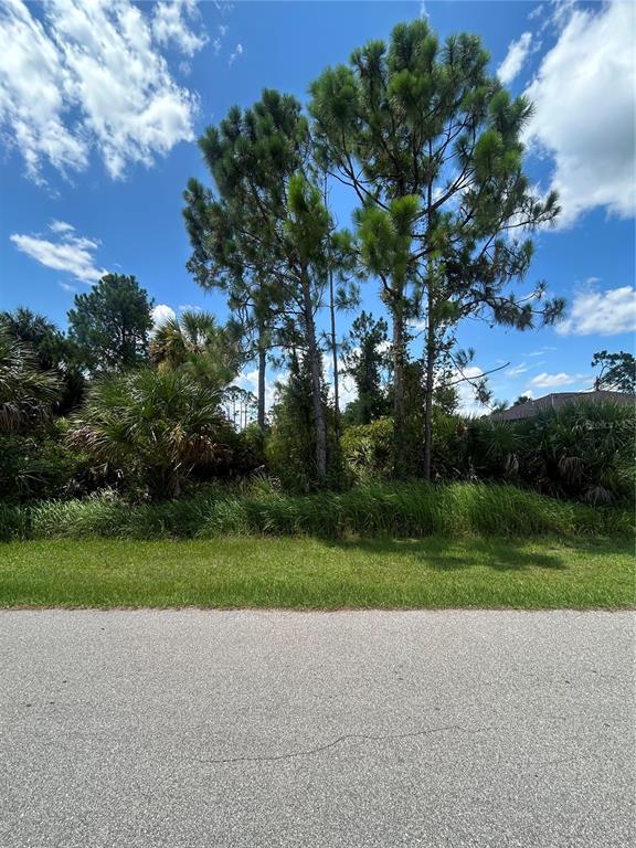 A view of a grassy lot with tall pine trees and dense vegetation — ALESIO AVENUE, NORTH PORT, FL