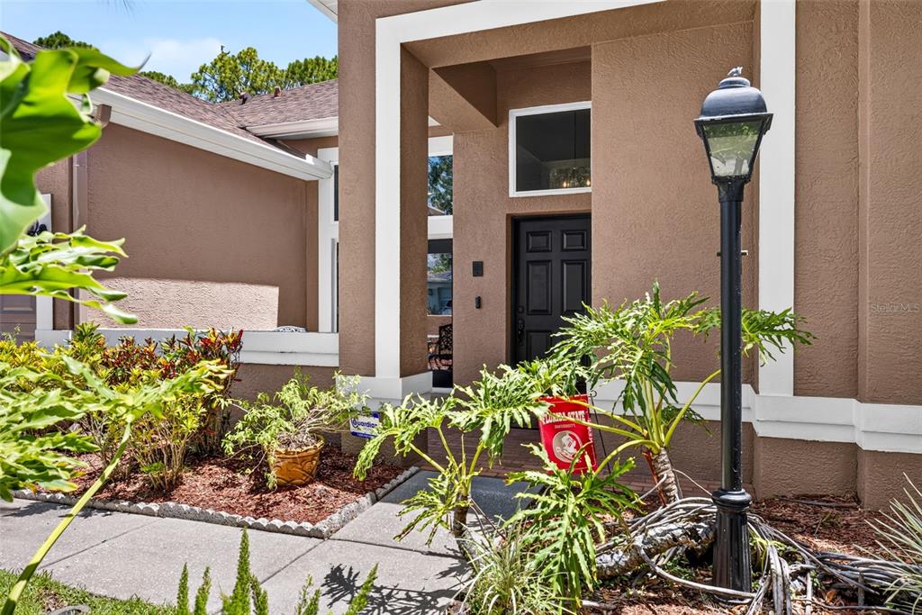 The exterior of a house features a brown stucco facade, a dark front door, and landscaping — 10737 AYRSHIRE DRIVE, TAMPA, FL