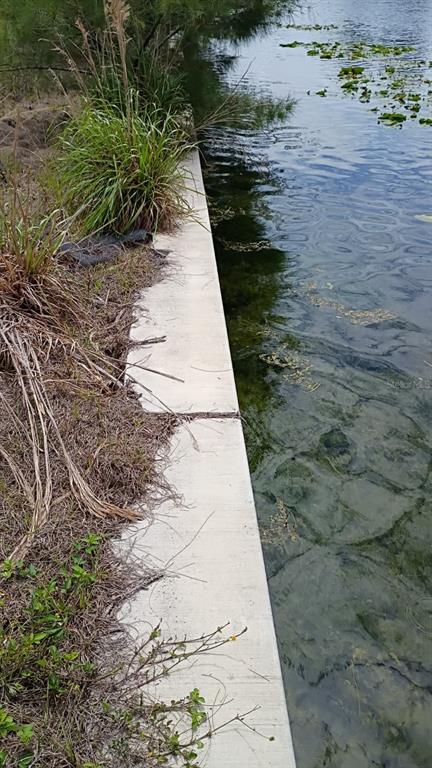 A concrete seawall borders a body of water with aquatic plants and tall grasses — 2918 NW 14TH TERRACE, CAPE CORAL, FL