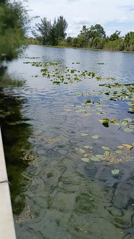 A view of a calm pond with lily pads and surrounding vegetation — 2918 NW 14TH TERRACE, CAPE CORAL, FL