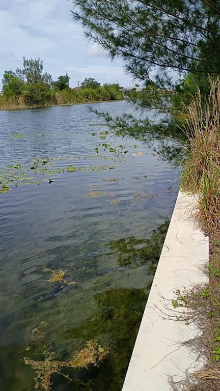 A concrete seawall borders a canal with aquatic vegetation and trees in the background — 2918 NW 14TH TERRACE, CAPE CORAL, FL