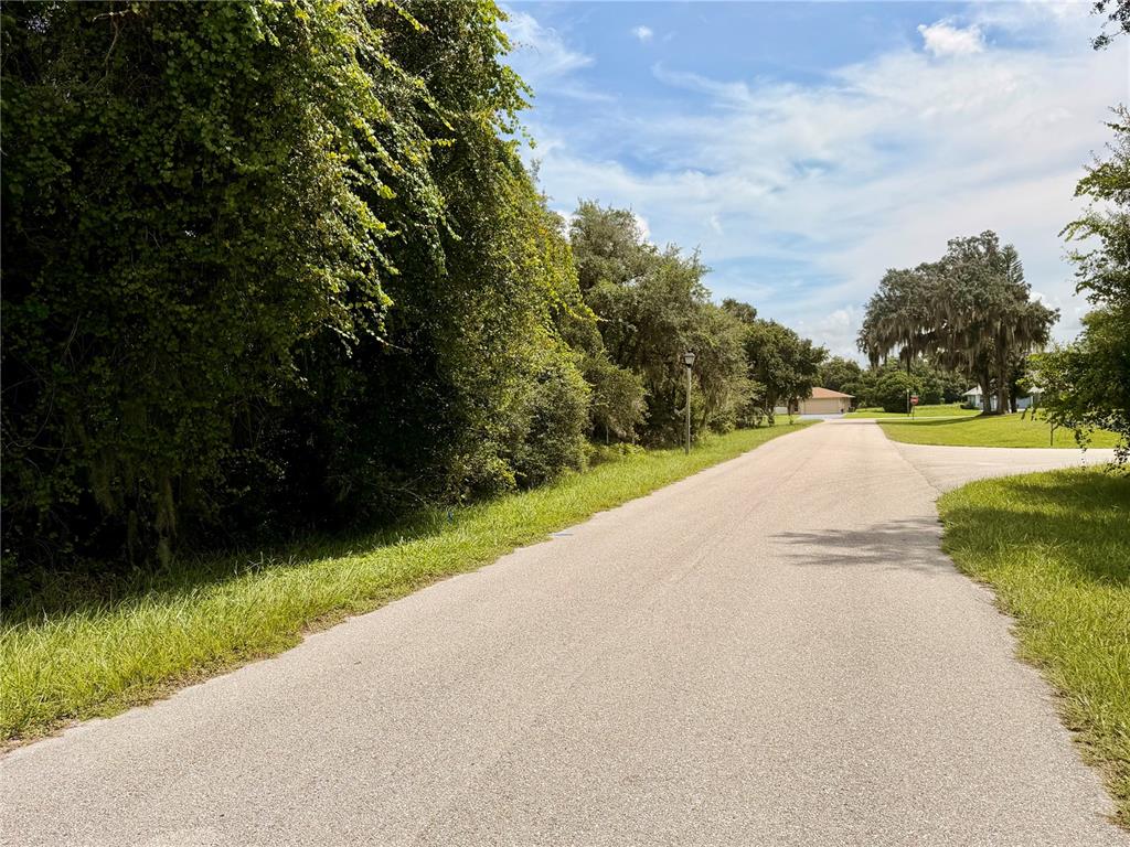 A paved road runs through a residential area with dense trees and grassy lawns — 5709 SUN VALLEY DRIVE, SEBRING, FL