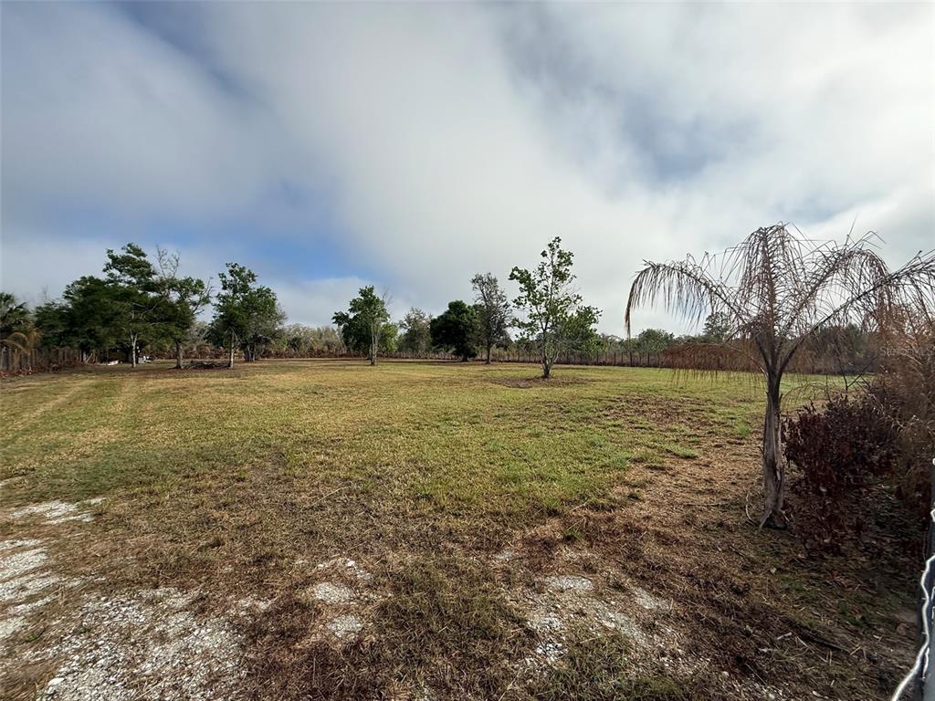 A wide, grassy field features scattered trees under a cloudy sky — 17231 NW 268TH STREET, OKEECHOBEE, FL