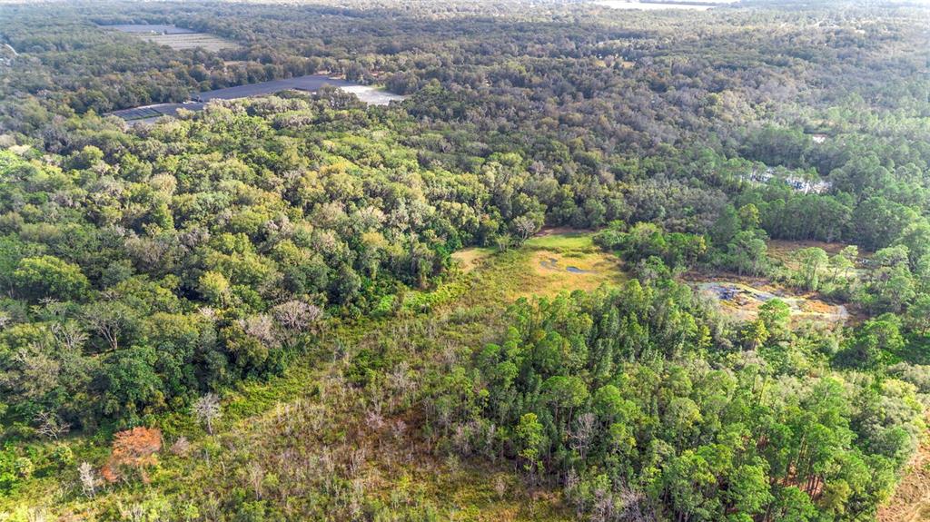 An aerial view shows a large, wooded lot with a clearing and a small pond — KING STREET, DELAND, FL