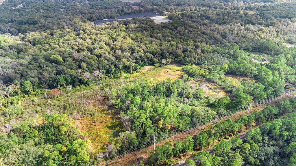 An aerial view shows a large, wooded plot of land with a power line corridor — KING STREET, DELAND, FL