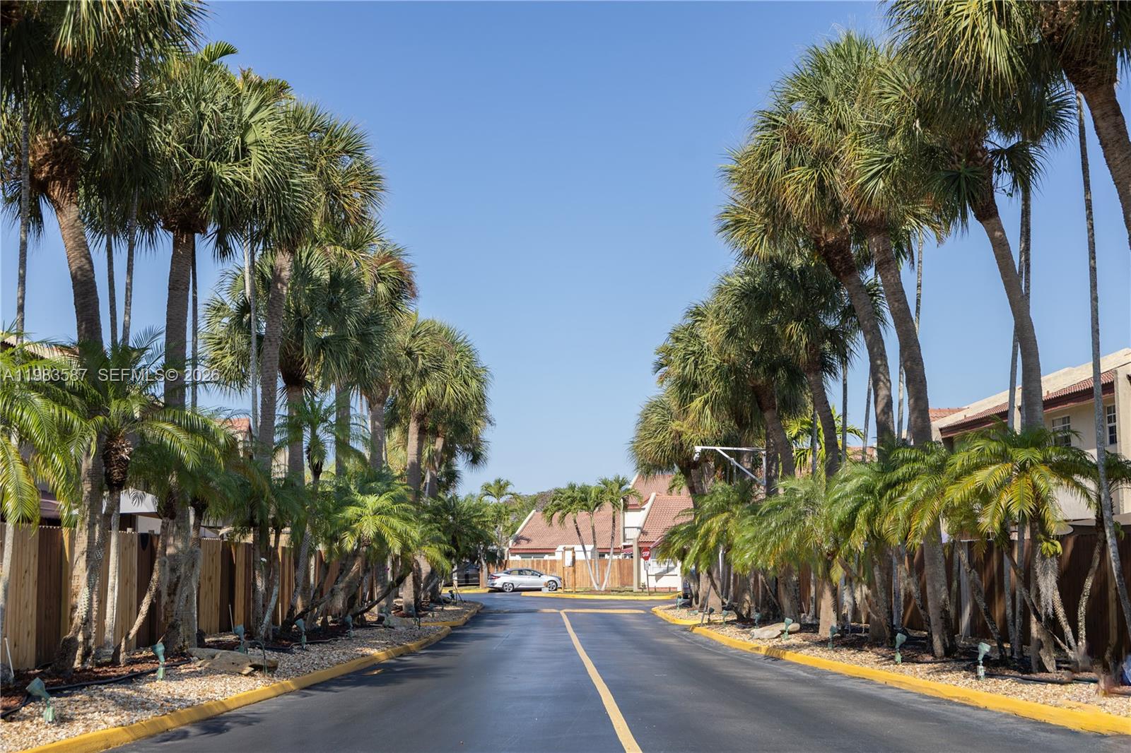 A paved road lined with palm trees leads toward houses under a clear blue sky — 6110 SW 129th Pl # 1705, Miami FL 33183, MIAMI, FL