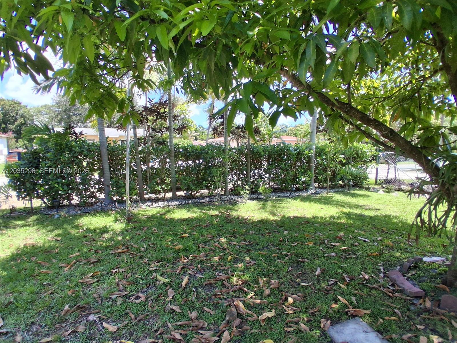 A grassy backyard features a large tree, a hedge, and several palm trees — 220 NW 150th St, Miami FL 33168, MIAMI, FL