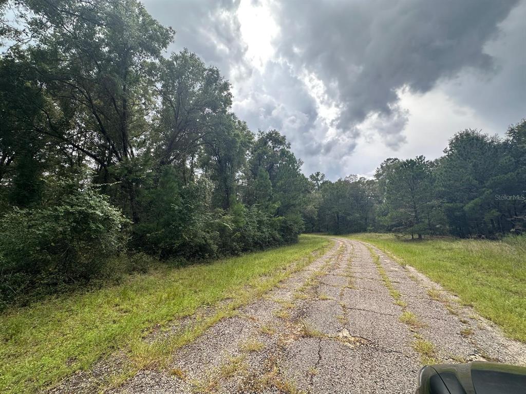 A paved road winds through a grassy area bordered by dense trees under a cloudy sky — 1574 E IVYDALE DRIVE, CITRUS SPRINGS, FL