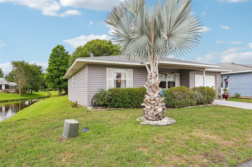 A gray single-story house features a prominent palm tree in the front yard near a canal — 4890 PLEASANT HOLLOW TRAIL, LAKELAND, FL