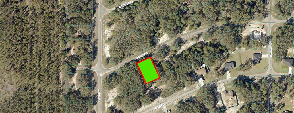 An aerial map view shows a rectangular vacant lot highlighted in green on a residential street — FISHER WAY DRIVE, OCKLAWAHA, FL