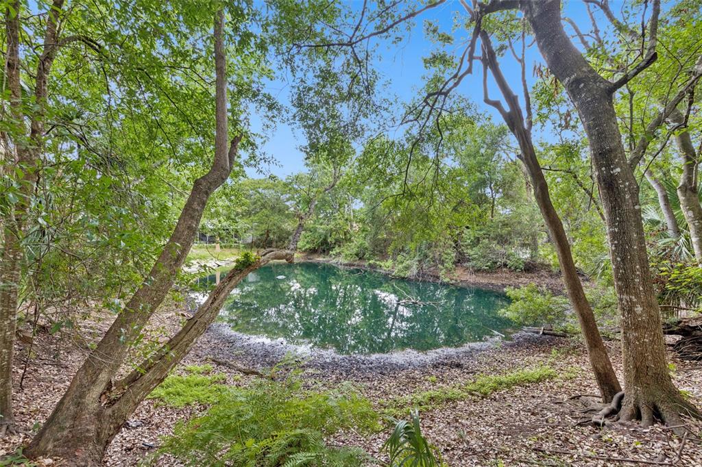 A small, dark pond surrounded by trees and leaf-covered ground in a wooded area — 1318 COLETTA DRIVE, ORLANDO, FL