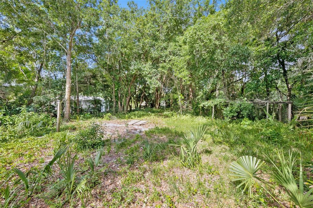 A wooded, overgrown residential lot with scattered palmetto plants and a glimpse of a structure — 1318 COLETTA DRIVE, ORLANDO, FL