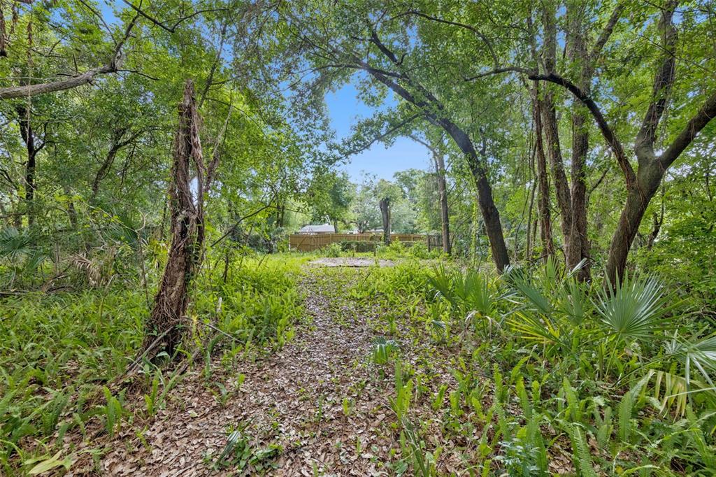 A wooded lot with a dirt path leading toward a wooden fence in the distance — 1318 COLETTA DRIVE, ORLANDO, FL