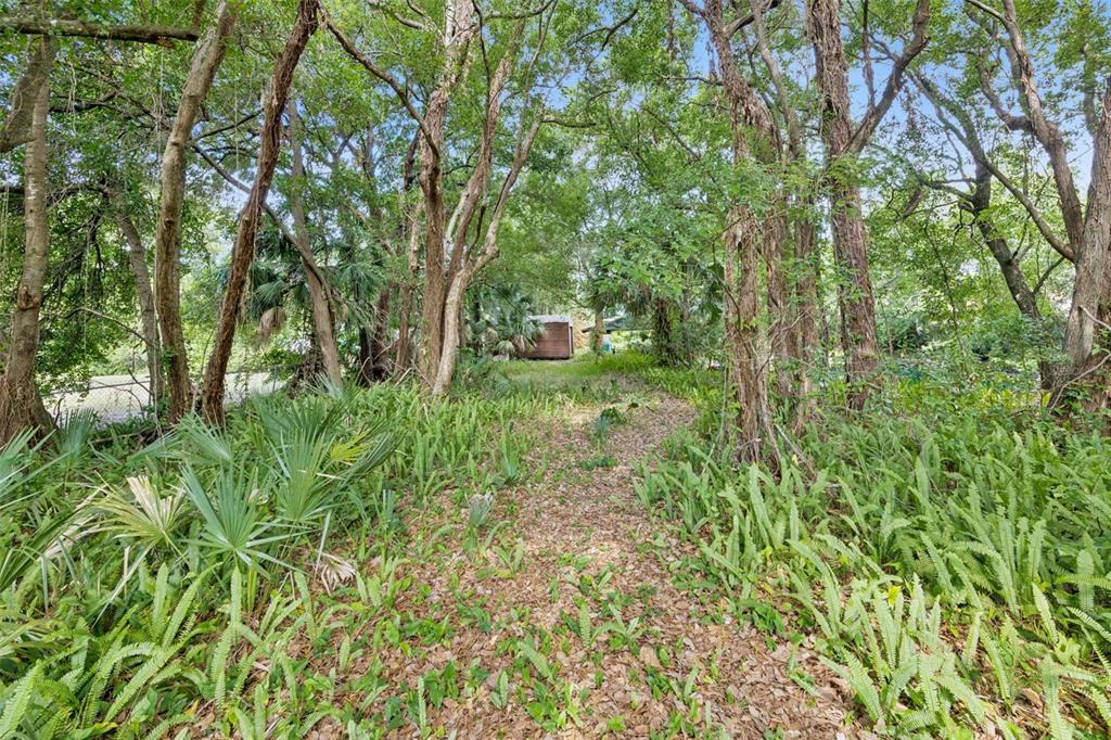 A wooded path leads through dense vegetation toward a small shed in the distance — 1318 COLETTA DRIVE, ORLANDO, FL