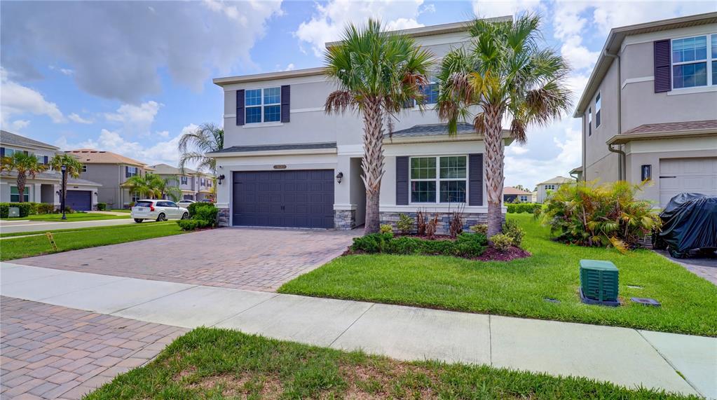 A two-story house with a paved driveway, two palm trees, and a dark garage door — 3338 GREAT BANYAN WAY, WESLEY CHAPEL, FL