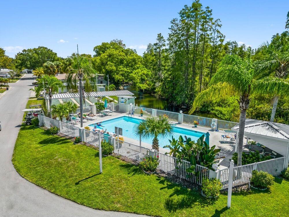 An aerial view of a community swimming pool surrounded by a fence and lush trees — 6445 BELLE TERRE, NEW PORT RICHEY, FL
