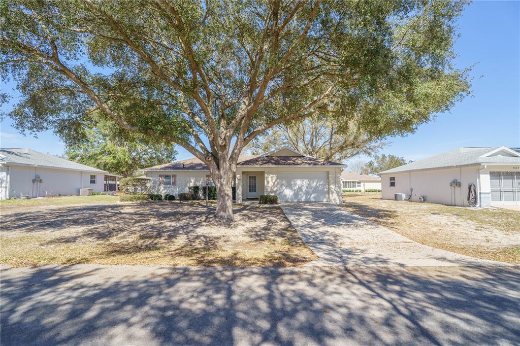 A single-story house with a large tree in the front yard and a concrete driveway — 9859 SW 97TH LANE, OCALA, FL