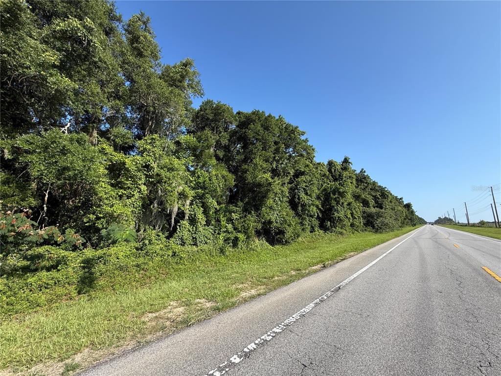 A paved road runs alongside a dense, wooded area under a clear blue sky — XX SW 80TH AVENUE, OCALA, FL