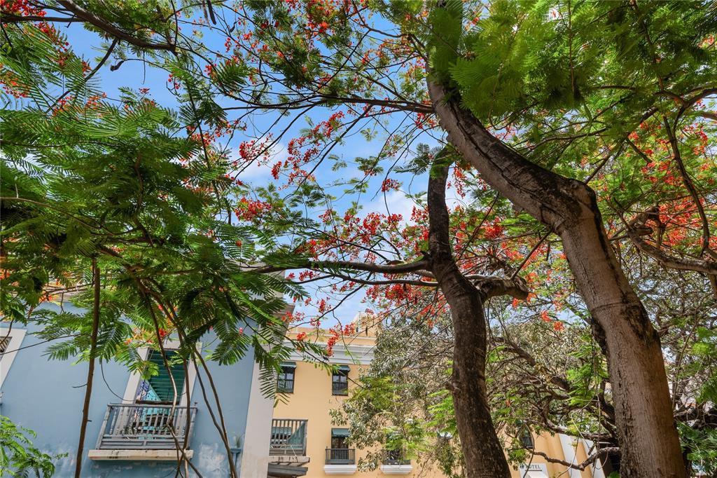 70 CALETA DE SAN JUAN UNIT 2