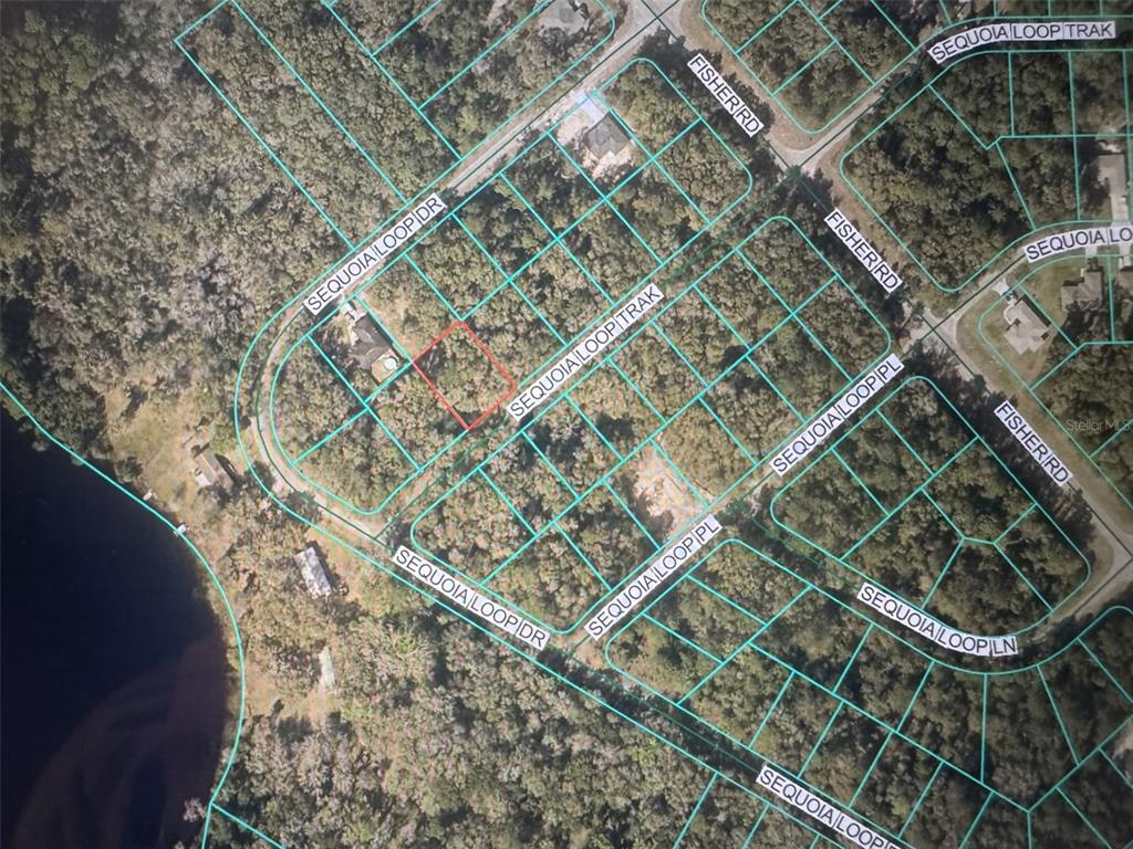SEQUOIA LOOP TRACK, OCKLAWAHA, FL — photo 2 of 7