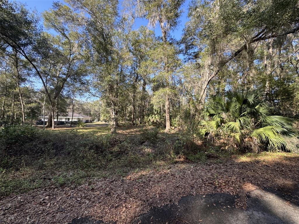 SEQUOIA LOOP TRACK, OCKLAWAHA, FL — photo 4 of 7