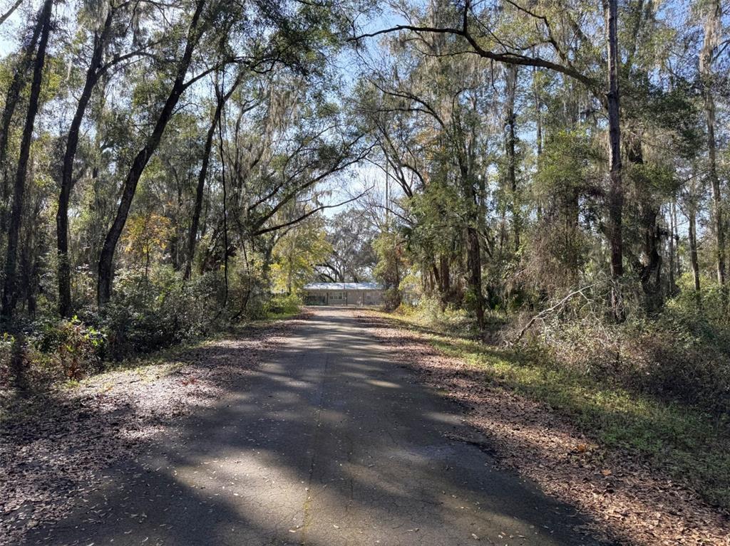 SEQUOIA LOOP TRACK, OCKLAWAHA, FL — photo 5 of 7