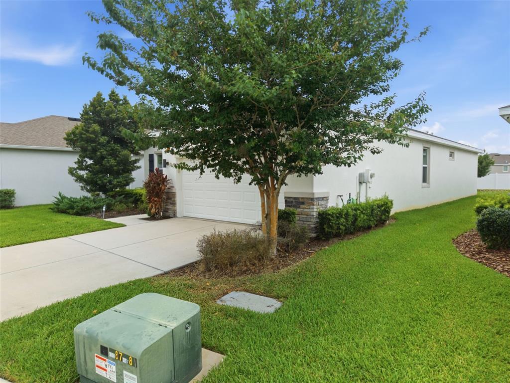 A single-story house with a white exterior, stone accents, and a concrete driveway — 13237 WATERLEAF GARDEN CIRCLE, RIVERVIEW, FL