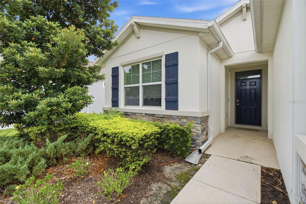 A front exterior view of a house with a blue door, stone accents, and landscaping — 13237 WATERLEAF GARDEN CIRCLE, RIVERVIEW, FL