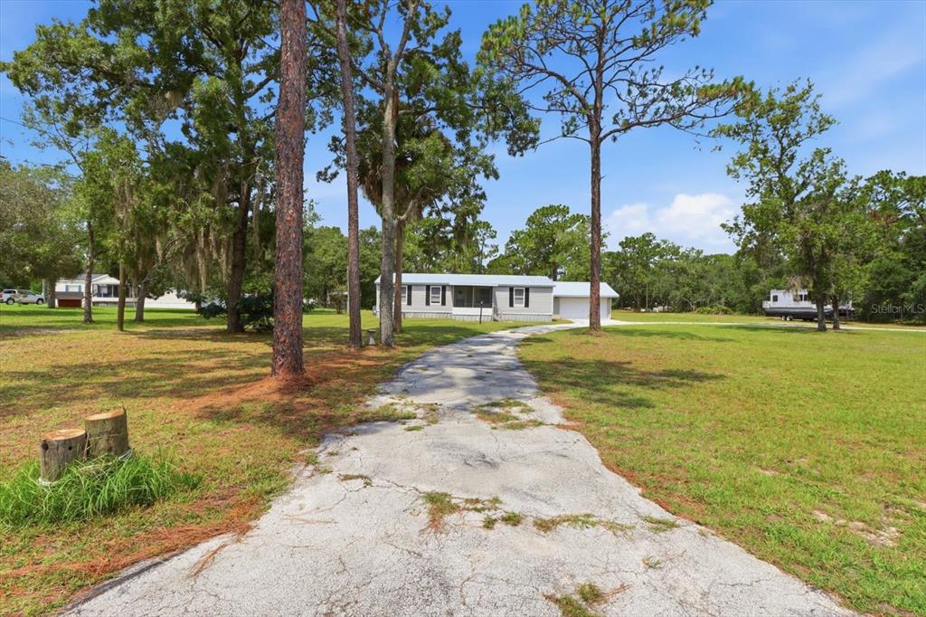 A long, cracked concrete driveway leads to a single-story house surrounded by tall pine trees — 7230 S SONATA AVENUE, HOMOSASSA, FL