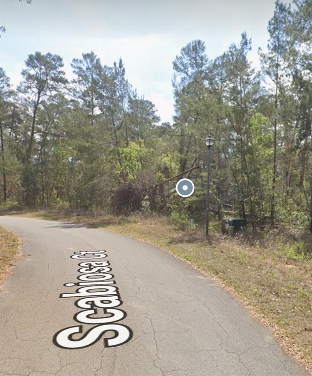 A paved road curves past a wooded lot with a street lamp and a trash bin — 13 SCABIOSA COURT, HOMOSASSA, FL