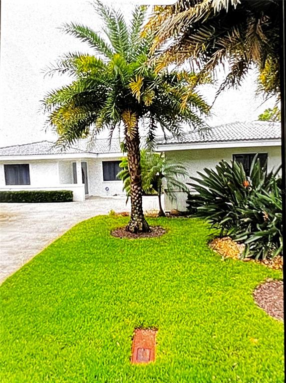 A palm tree stands in the front yard of a single-story house with white siding — 2431 SUNRISE DRIVE SE, ST PETERSBURG, FL
