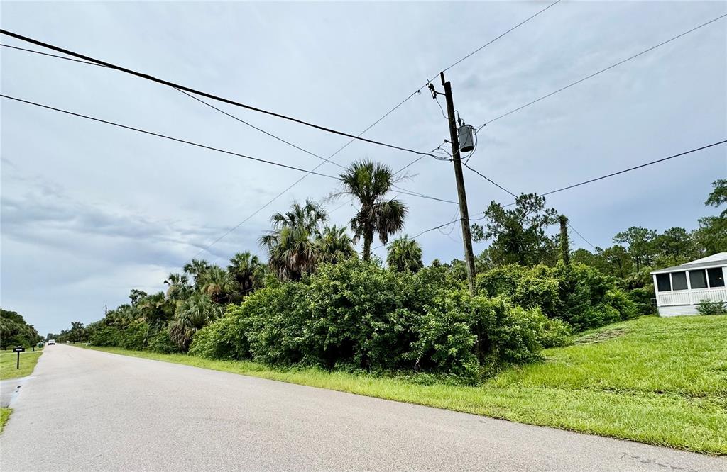 A paved road runs alongside a grassy lot with dense vegetation and a utility pole — 00 SW 31 STREET, NAPLES, FL