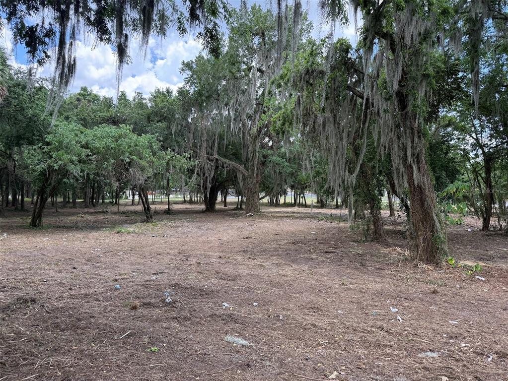 A cleared, flat lot with many mature trees draped in Spanish moss — 150 SE 17TH STREET UNIT 2 & 3, OCALA, FL