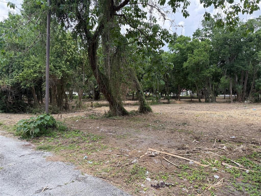 A vacant, partially cleared lot with mature trees and vegetation borders a paved road — 150 SE 17TH STREET UNIT 2 & 3, OCALA, FL