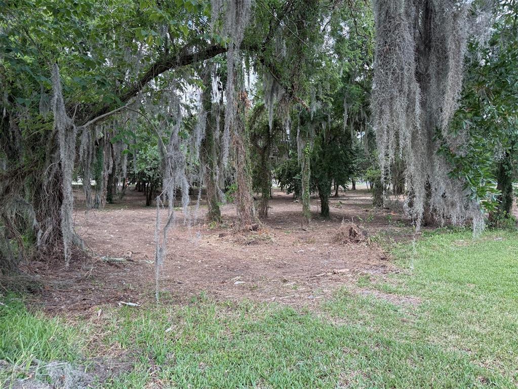 A wooded lot with mature trees draped in Spanish moss and a cleared ground area — 150 SE 17TH STREET UNIT 2 & 3, OCALA, FL