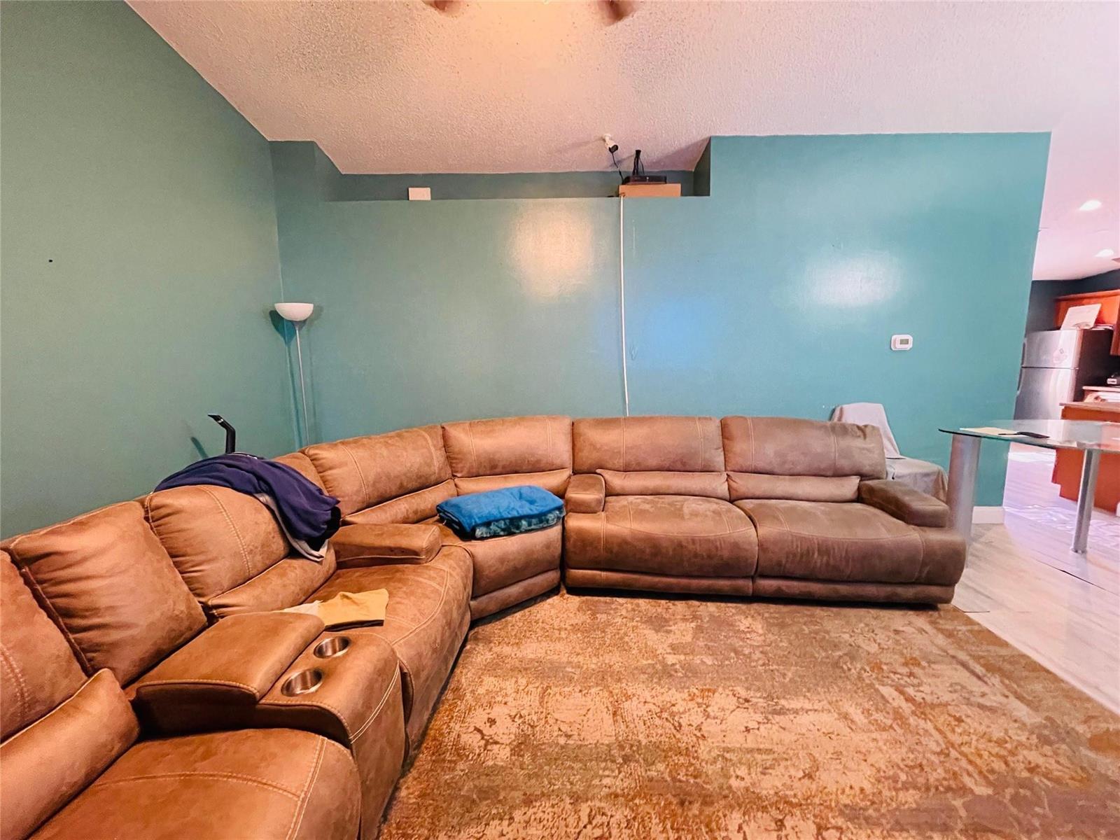 A living room features a large brown sectional sofa on a patterned rug against teal walls — 244 Caribe Court, FL 33413, FL