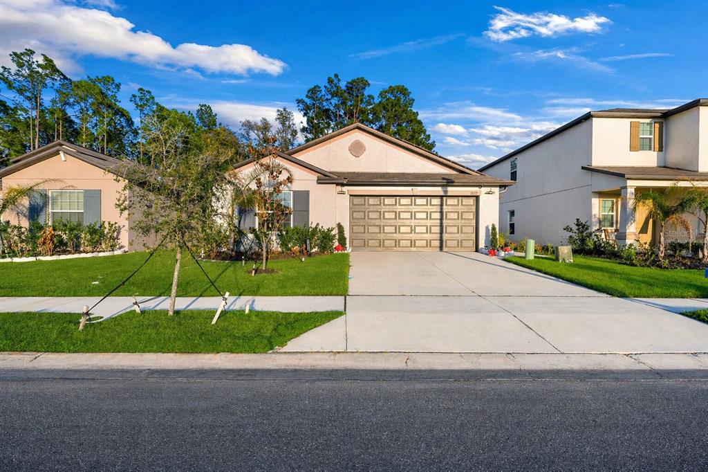 1839 YELLOW TRAIL