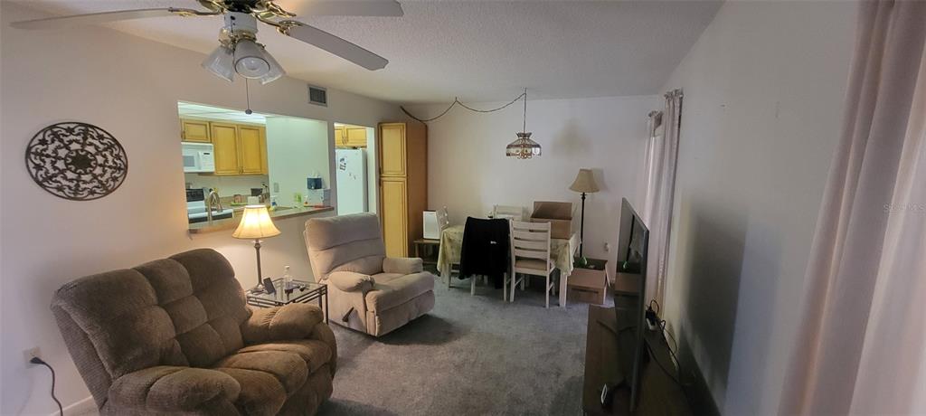 A living room and dining area with carpeted floors, a ceiling fan, and kitchen pass-through — 180 MAGNOLIA WOODS COURT UNIT 19A, DELTONA, FL