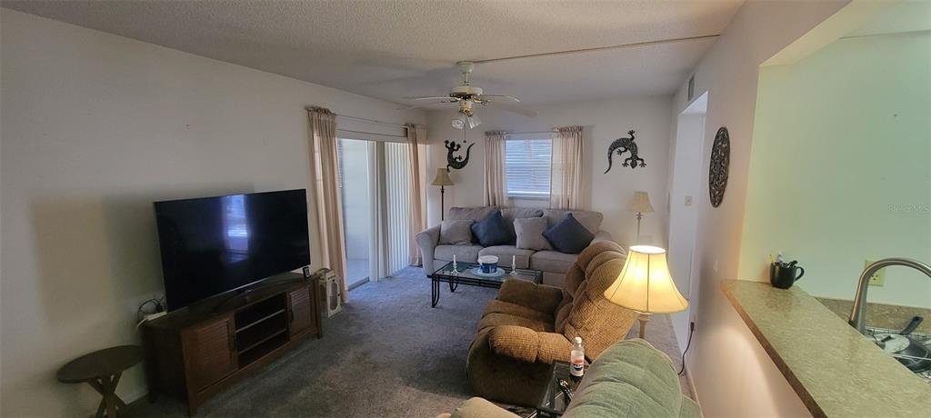 A living room features a television, a sofa, a recliner, and a sliding glass door — 180 MAGNOLIA WOODS COURT UNIT 19A, DELTONA, FL