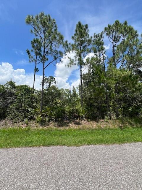 A paved road sits in front of a wooded lot with tall pine trees — 23324 AIRWAY AVENUE, PUNTA GORDA, FL