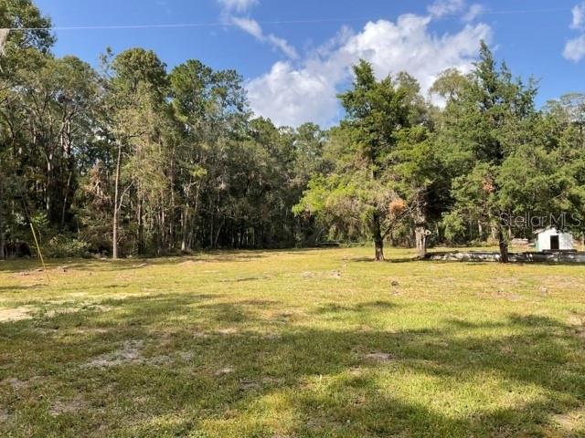 A grassy, cleared lot is bordered by a dense forest with a small shed visible — 5542 SW 57TH AVENUE, GAINESVILLE, FL
