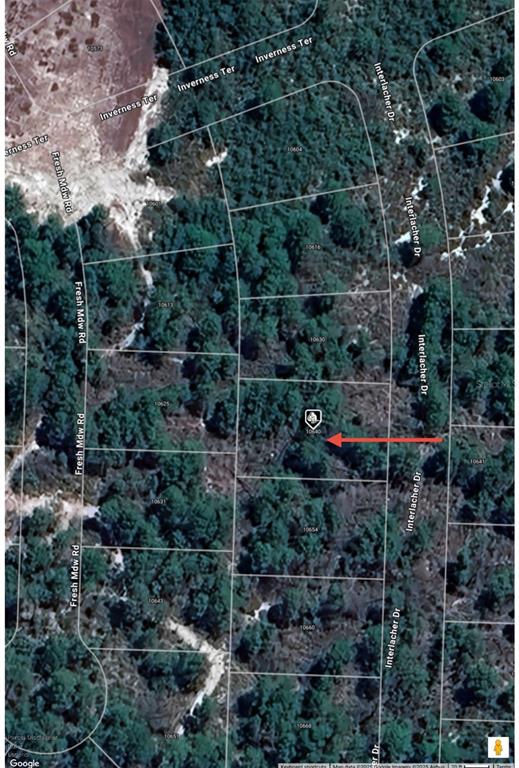 This is a satellite map view showing a wooded residential lot with property boundary lines — 10640 INTERLACHER DRIVE, SEBRING, FL