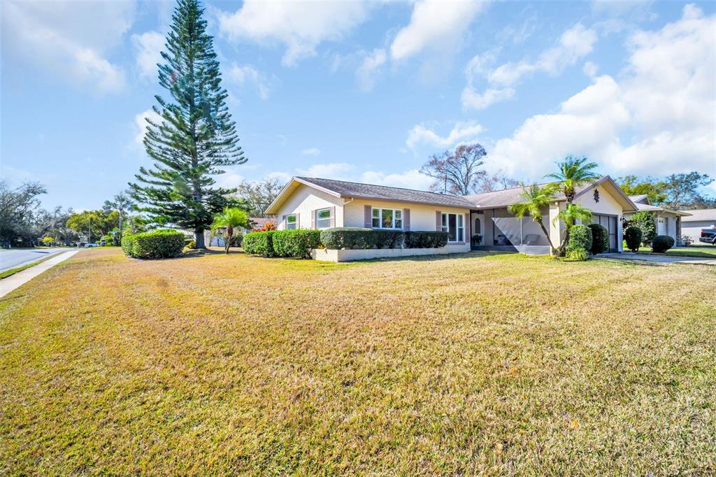 A single-story house with a large lawn, a tall pine tree, and a screened porch — 102 STAFFORD DRIVE, PALM HARBOR, FL