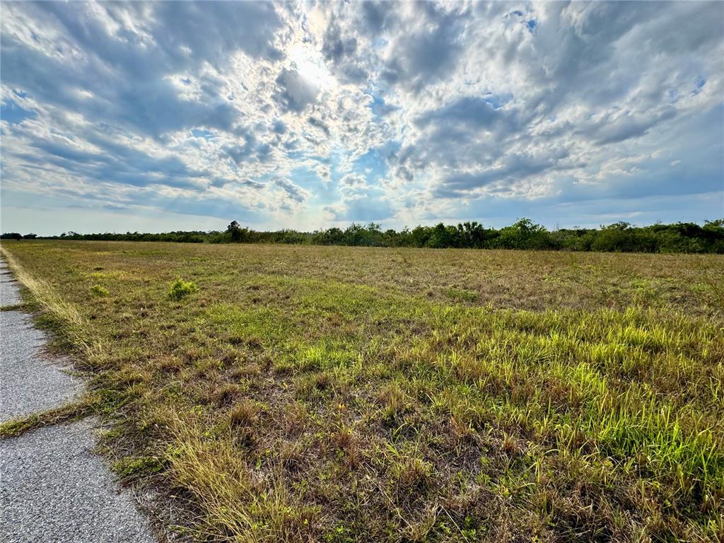 A wide, grassy vacant lot borders a paved road under a cloudy sky — 12319 GREENLING WAY, PLACIDA, FL