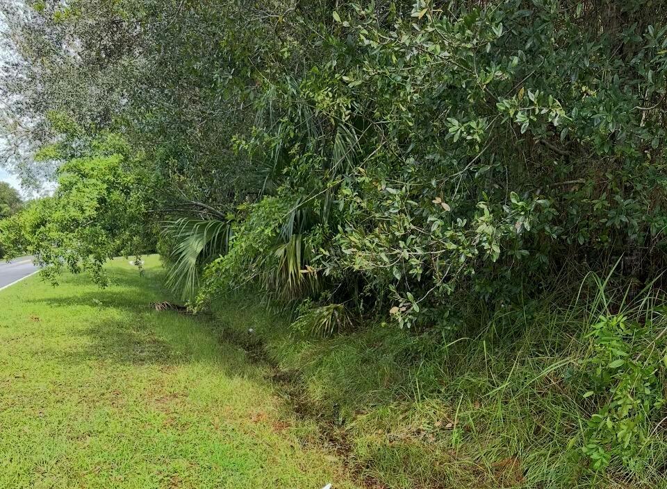 A grassy roadside verge borders a dense line of trees and shrubs — 6906 Winter Garden Parkway, FL 34951, FL