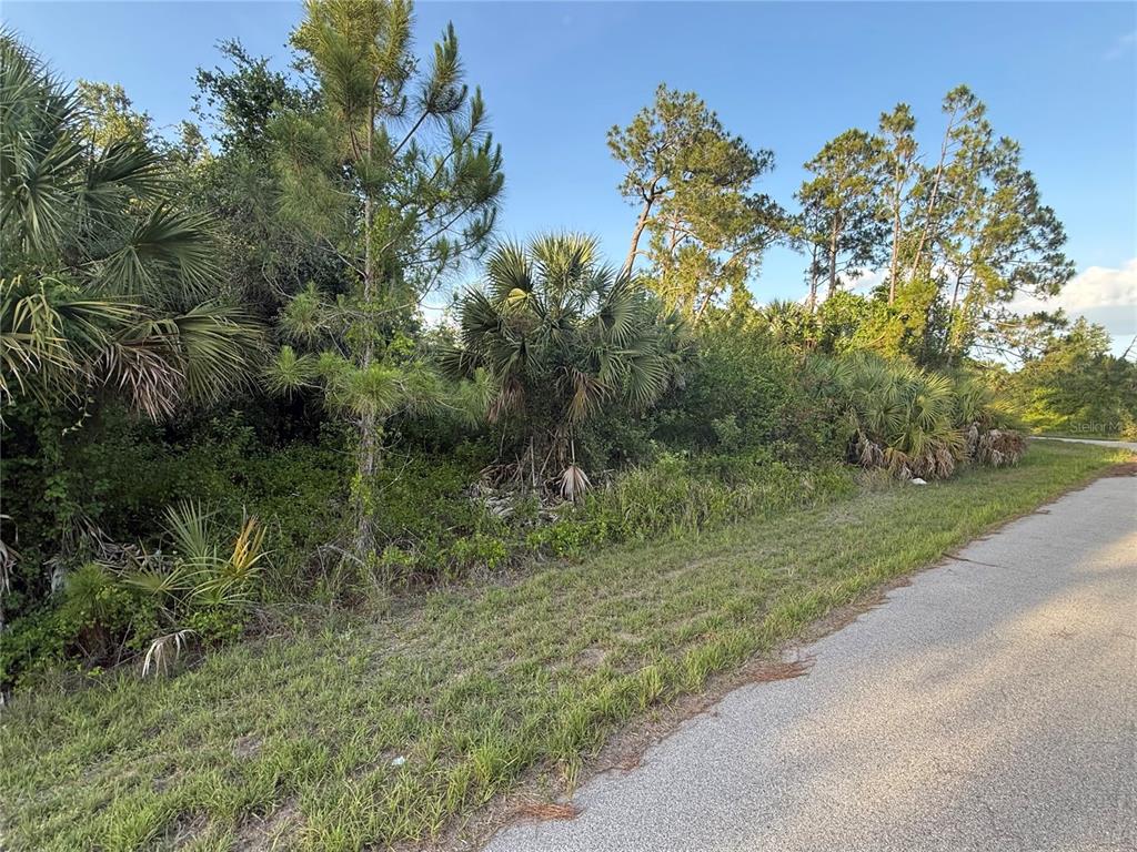 A view of a grassy roadside bordering a wooded lot with pine trees and palms — Lot 12 BELGRAVE TERRACE, NORTH PORT, FL