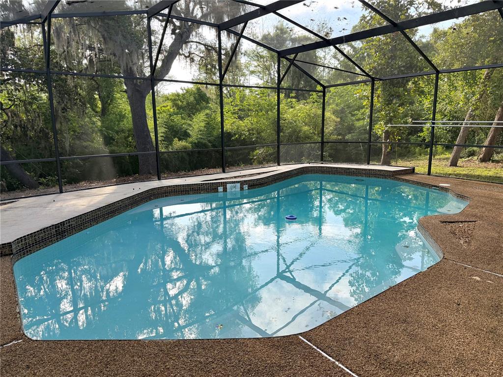 A swimming pool with a tiled border is enclosed by a screened lanai overlooking trees — 615 HERMITS TRAIL, ALTAMONTE SPRINGS, FL